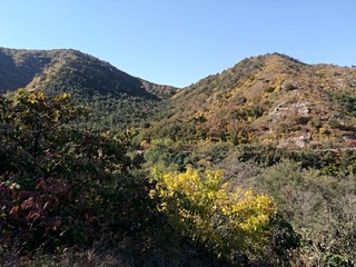 IMG_20181017_092223
