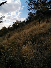 IMG_20181026_204655