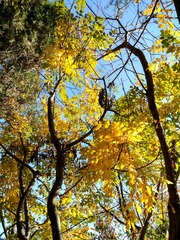 IMG_20181028_130508_HDR