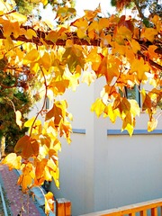 IMG_20181028_091319