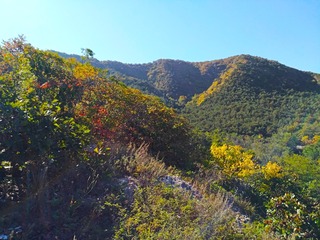 IMG_20181017_184942