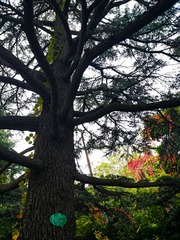 IMG_20181025_182710