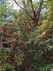 IMG_20181025_102236