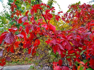 IMG_20181016_135448