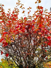 IMG_20181016_135642