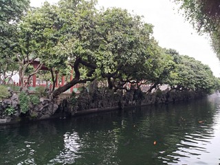 IMG_20181023_141225