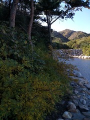IMG_20181017_085442