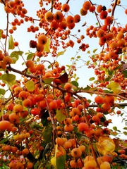 IMG_20181021_070613