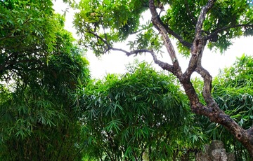 IMG_20181025_075256