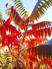 IMG_20181018_145806