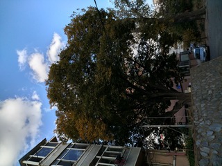 IMG_20181026_151154_HDR