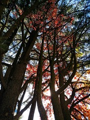 IMG_20181028_113403