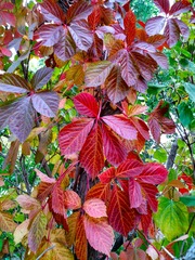 IMG_20181016_131627
