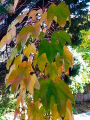 IMG_20181028_140306