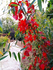 IMG_20181020_162507