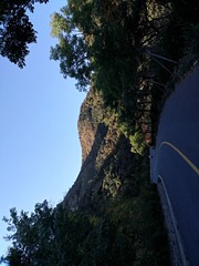 IMG_20181017_083058