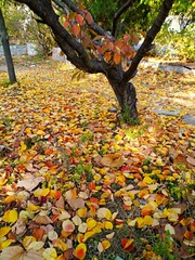 IMG_20181103_175605