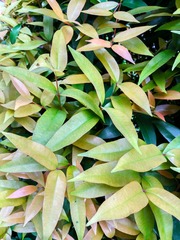 IMG_20181024_180846