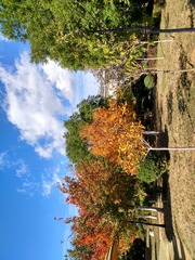 IMG_20181028_133912_HDR