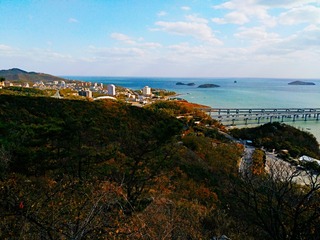 IMG_20181029_120444