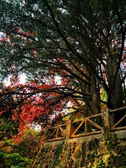 IMG_20181025_163406