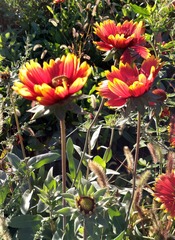 IMG_20181017_181451