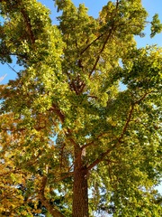 IMG_20181019_195314