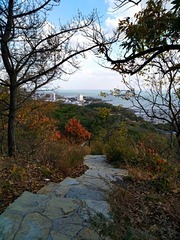 IMG_20181026_204641