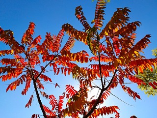 IMG_20181017_103401