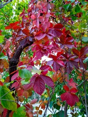 IMG_20181016_135351