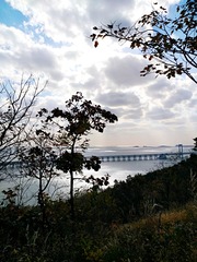 IMG_20181029_120722