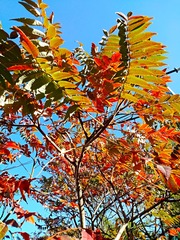 IMG_20181017_103619