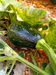 IMG_20181013_171218