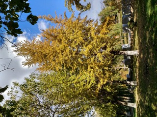 IMG_20181028_132804_HDR