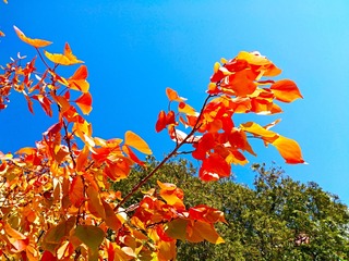 IMG_20181028_111713