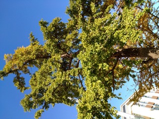 IMG_20181019_145717_HDR