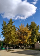 IMG_20181028_141030