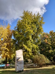 IMG_20181028_132114_HDR