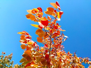 IMG_20181028_111652