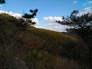 IMG_20181026_204807