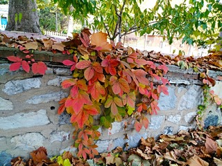 IMG_20181103_180328
