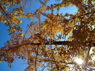 IMG_20181027_144127_HDR