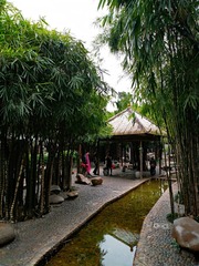 IMG_20181025_075128