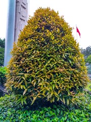 IMG_20181024_181319