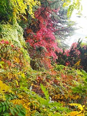 IMG_20181025_121543