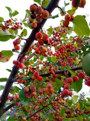 IMG_20181021_070740