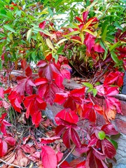 IMG_20181016_135407