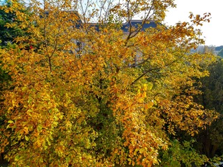 IMG_20181103_210204