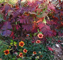 IMG_20181017_103647