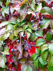 IMG_20181016_135039